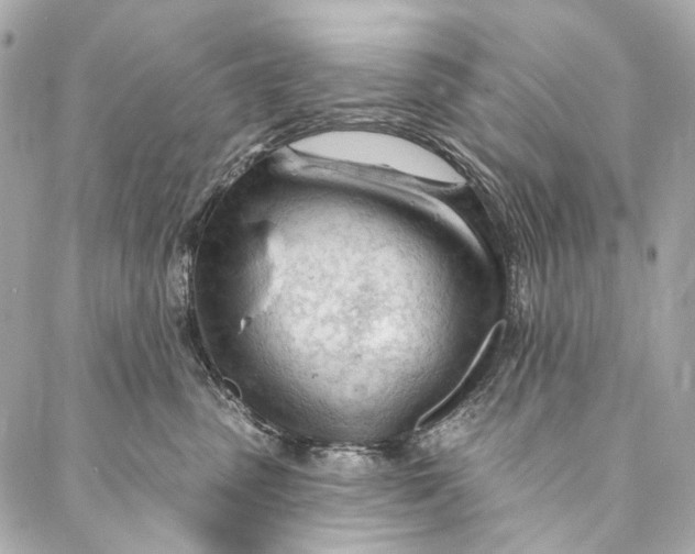 X0000087030475200705071539