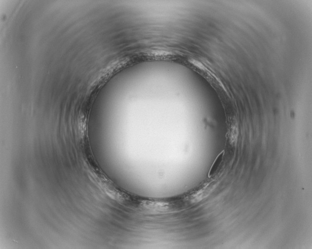 X0000087030476200705071539