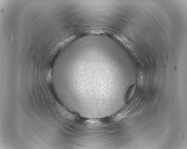 X0000087030477200705071539