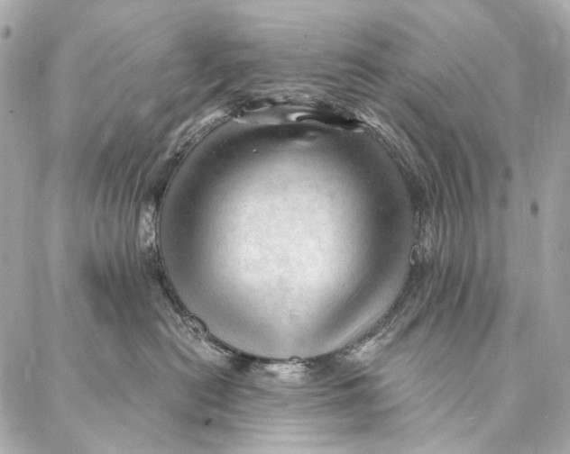 X0000087030478200705071539