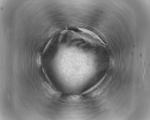 X0000087030479200705071539