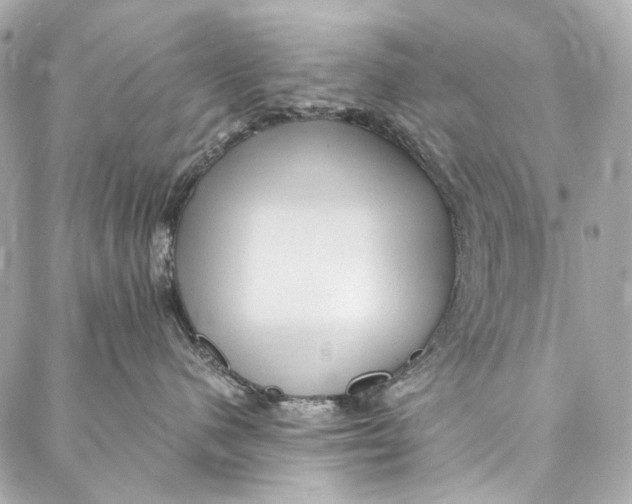 X0000087030480200705071539