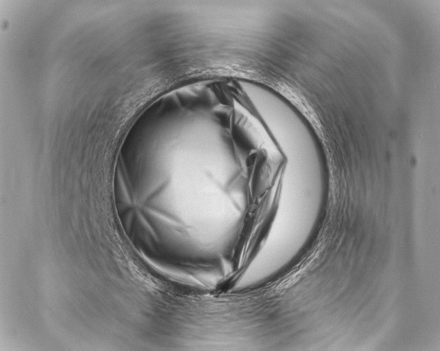 X0000087030481200705071538