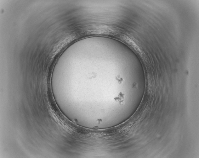 X0000087030482200705071538