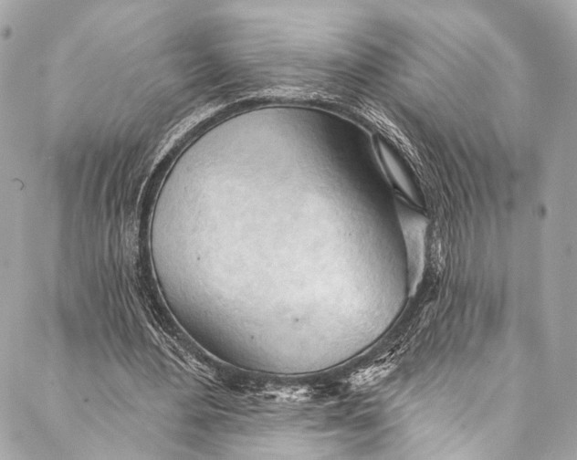 X0000087030484200705071538