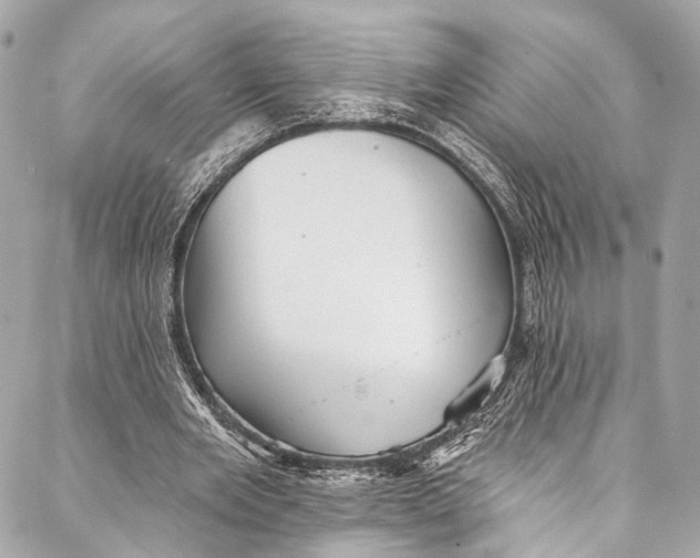 X0000087030485200705071538