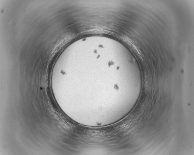 X0000087030486200705071538