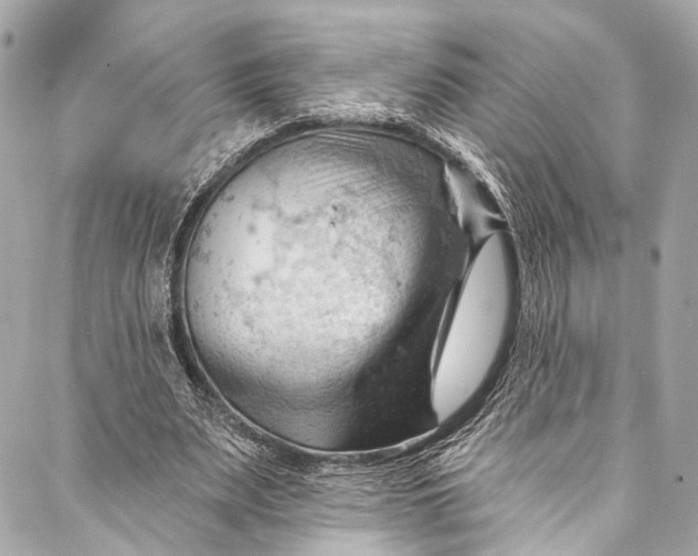 X0000087030487200705071538