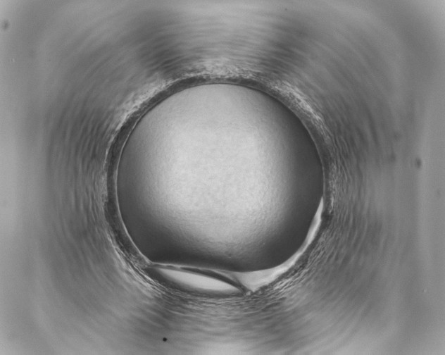 X0000087030488200705071538