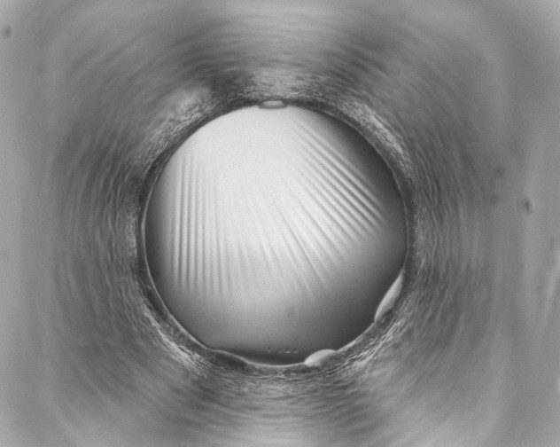 X0000087030489200705071538