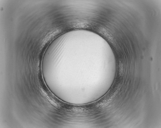 X0000087030490200705071538