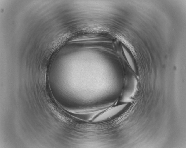 X0000087030493200705071538