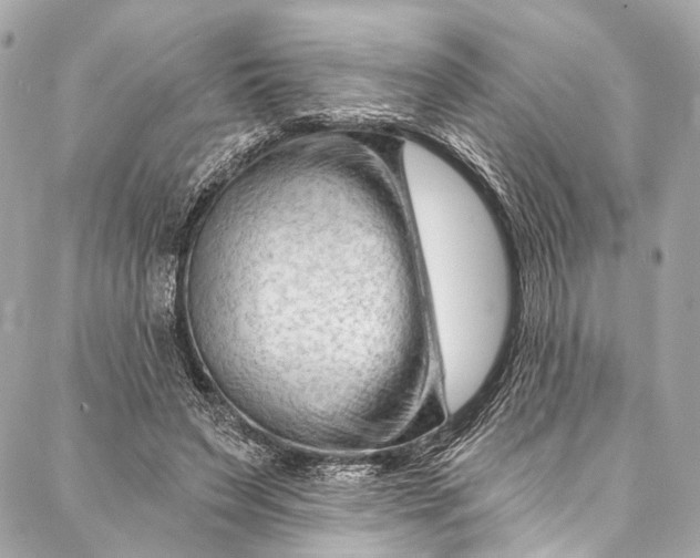 X0000087030495200705071538