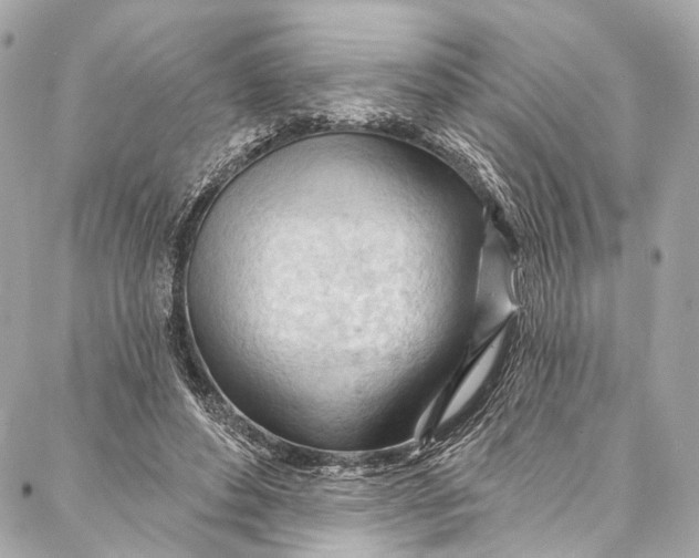 X0000087030496200705071538