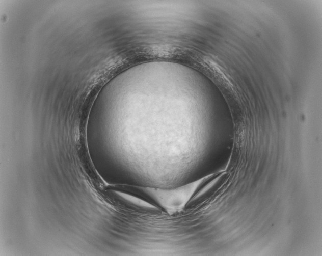 X0000087030500200705071538