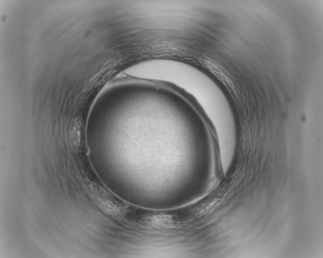 X0000087030501200705071538