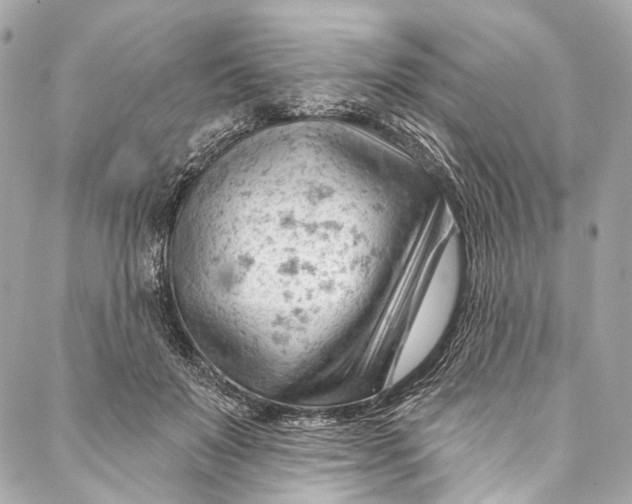 X0000087030503200705071538