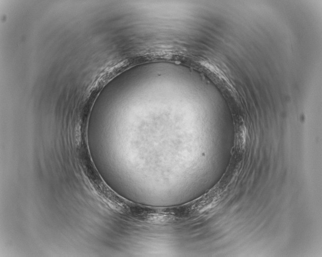 X0000087030504200705071538