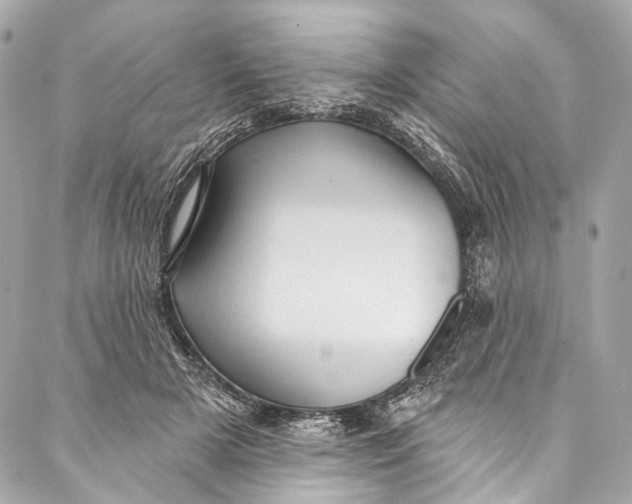 X0000087030505200705071538