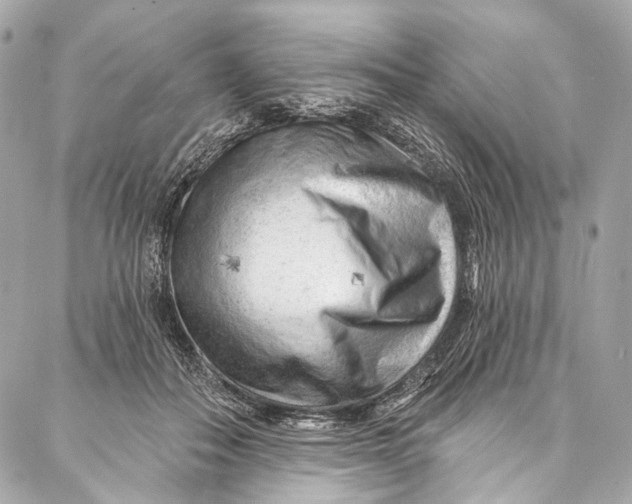 X0000087030506200705071538