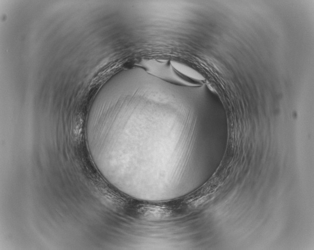 X0000087030507200705071538