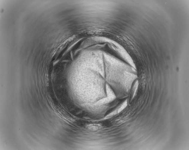 X0000087030508200705071538