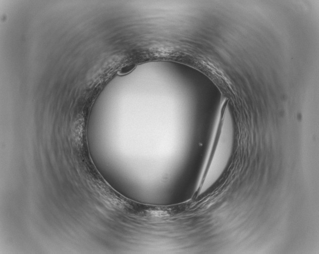 X0000087030509200705071538