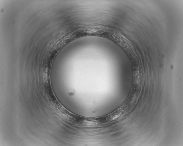 X0000087030510200705071538