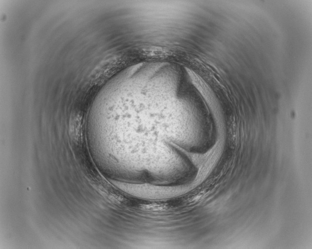 X0000087030511200705071538