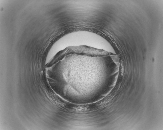 X0000087030512200705071538