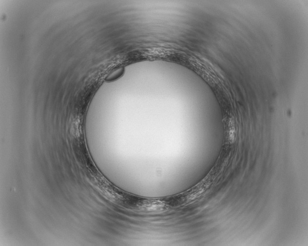 X0000087030514200705071538