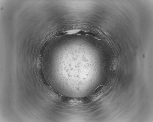 X0000087030515200705071538