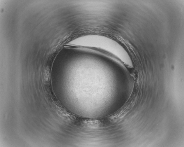 X0000087030517200705071538