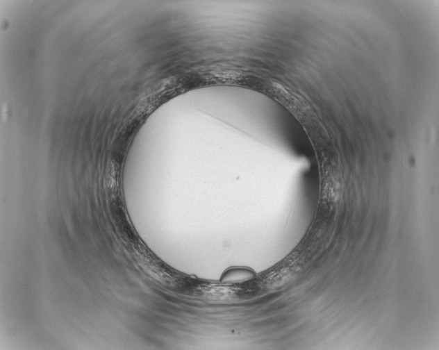 X0000087030518200705071538