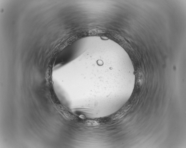 X0000087030519200705071538