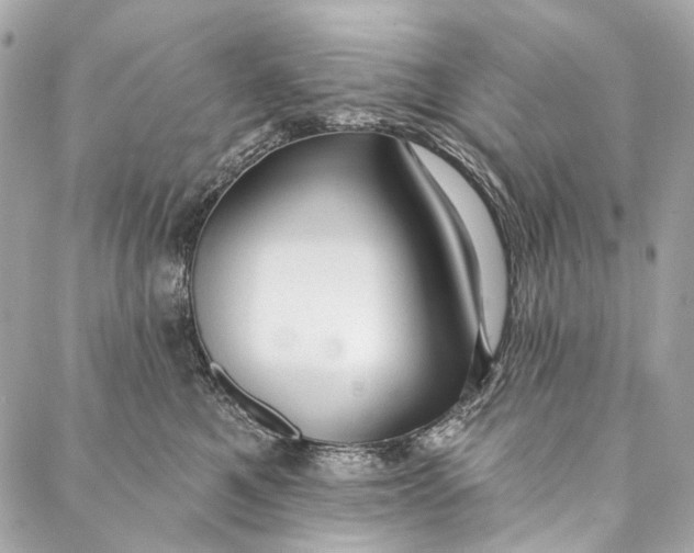 X0000087030521200705071537