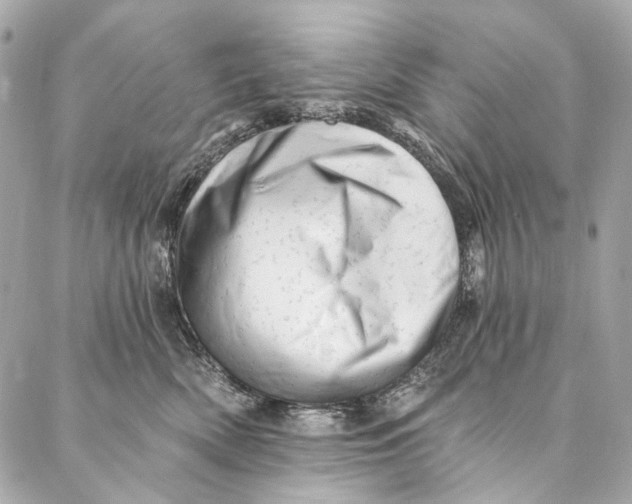 X0000087030522200705071537