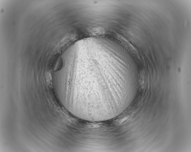 X0000087030523200705071537