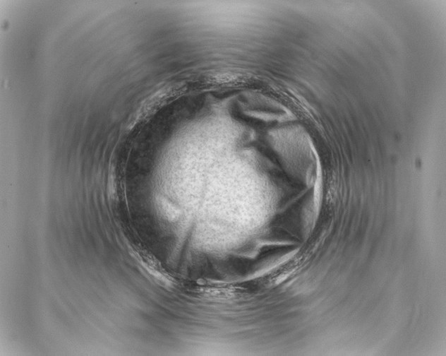 X0000087030524200705071537