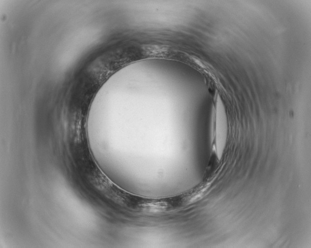 X0000087030525200705071537