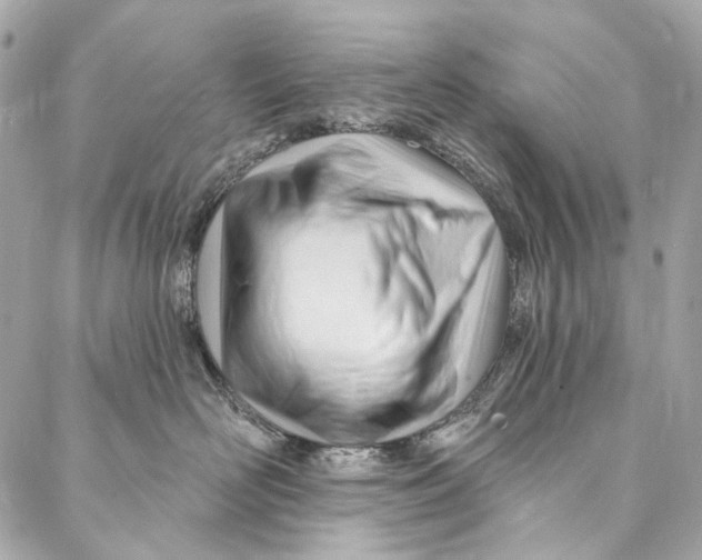 X0000087030526200705071537