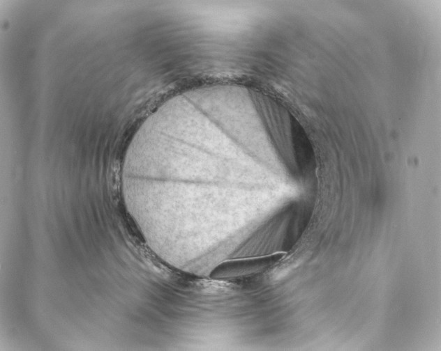 X0000087030528200705071537