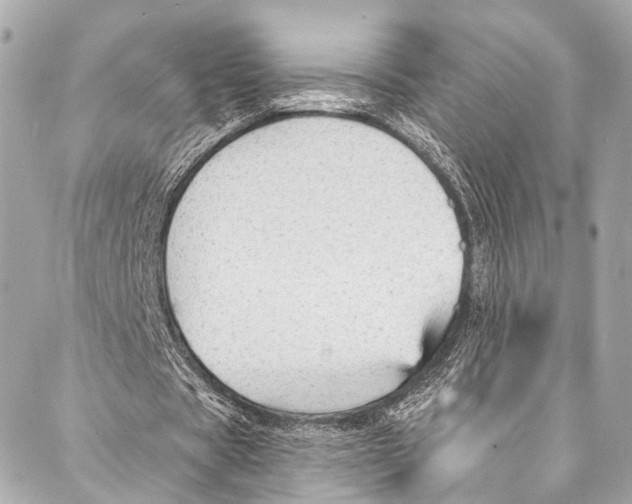 X0000087030529200705071537