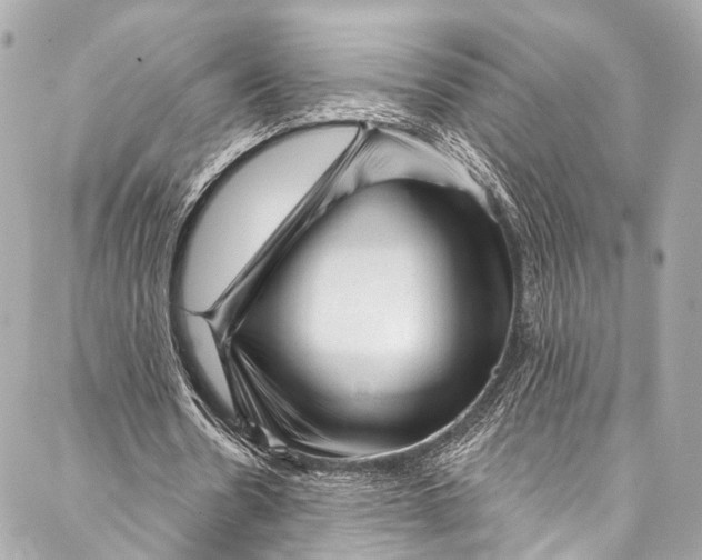 X0000087030530200705071537