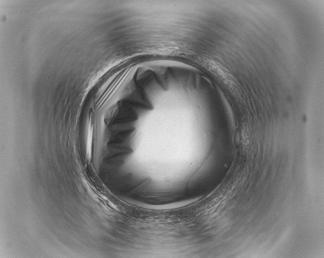 X0000087030532200705071537