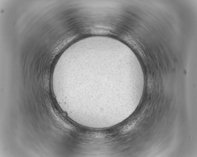 X0000087030533200705071537