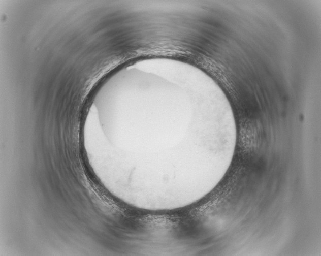 X0000087030534200705071537