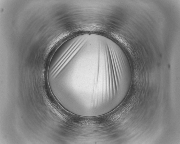 X0000087030535200705071537