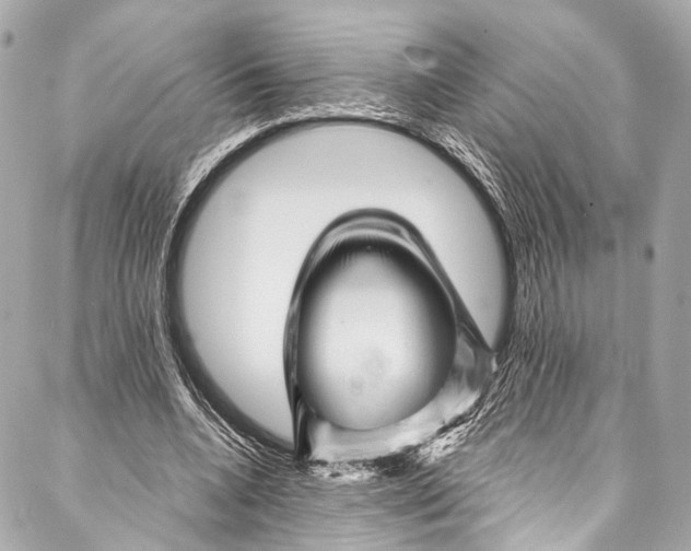 X0000087030536200705071537