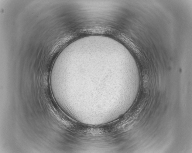 X0000087030537200705071537